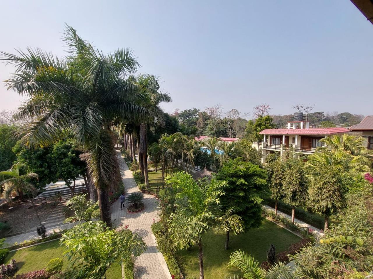 Royal Tiger Luxury Resort 4 Star سوراها المظهر الخارجي الصورة